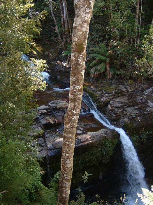 15 Tasmania.jpg